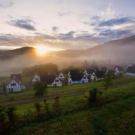 Διαμέρισμα Holiday Flat Im Eifel - Dmg06100i-p